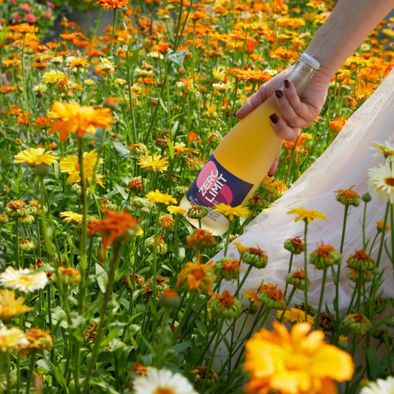 Zero Limit Rosé