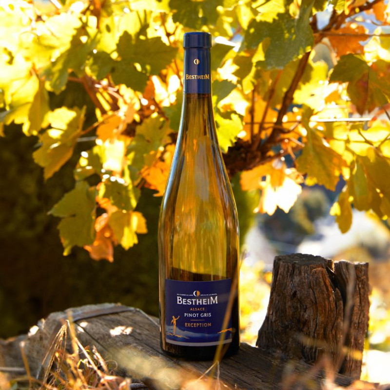 Pinot Gris Exception