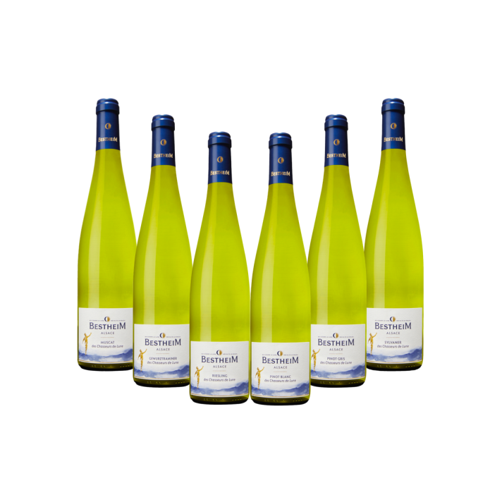 Name des Sets