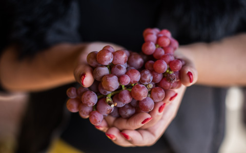 Grappe de Gewurztraminer
						        