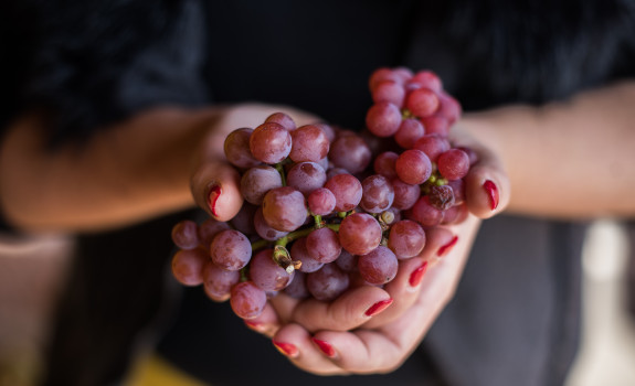 Grappe de Gewurztraminer
						        