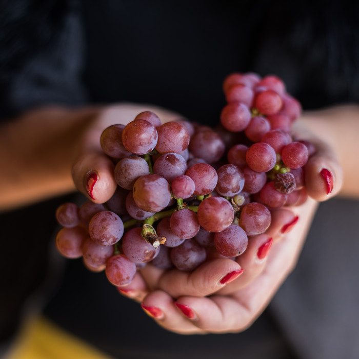 Grappe de Gewurztraminer