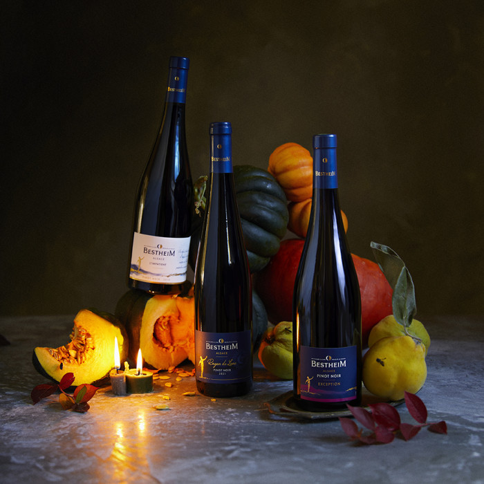 SMALL10.2023 Bestheim15407 copy