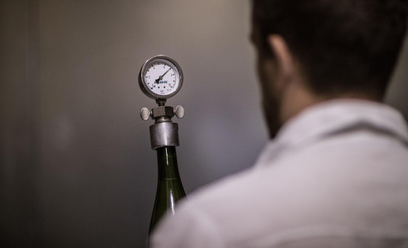 vinification
						        