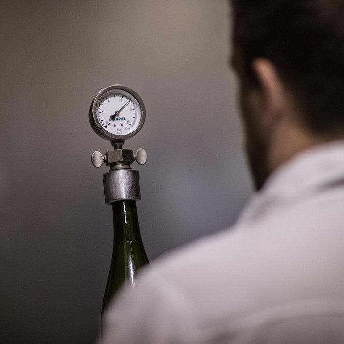 vinification