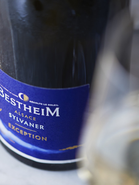 sylvaner exception (2)
	                        