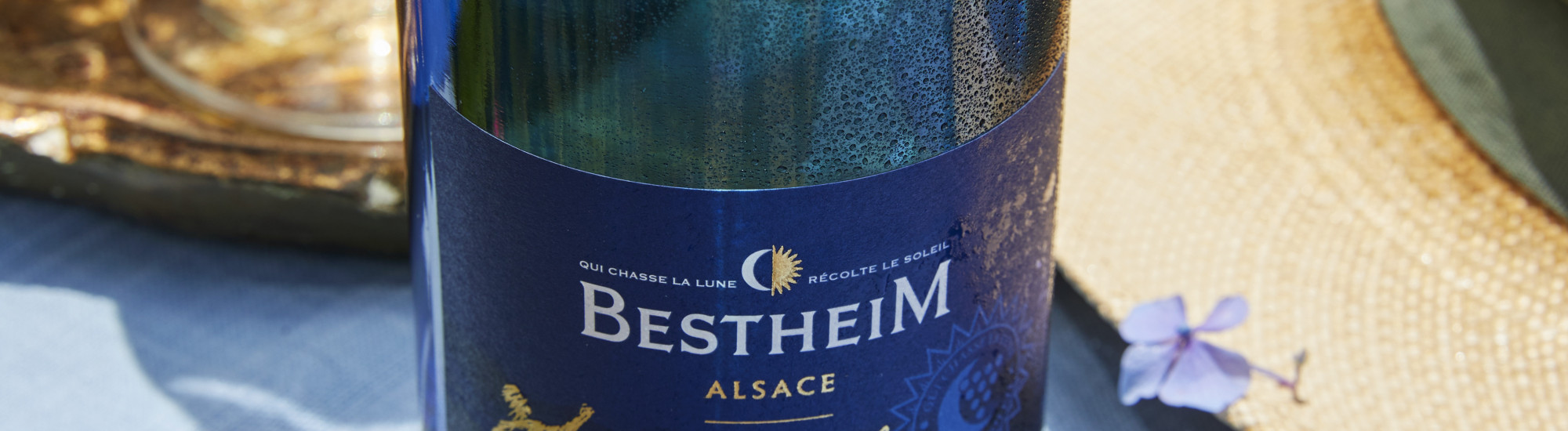 Riesling-rayon_de_lune (1)
	                        