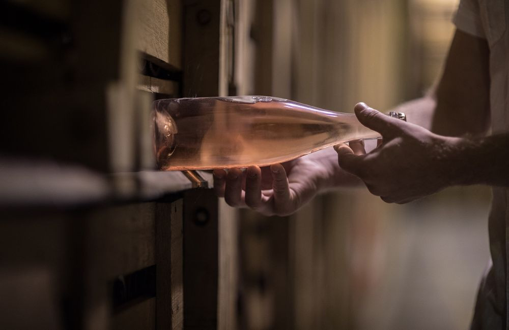 landing-conservation
		                    