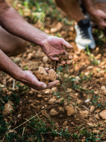 difference-cremant-champagne (1)
	                        