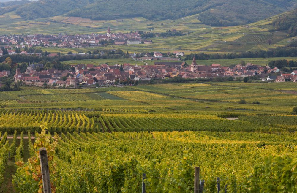 landing-mambourg (1)
		                    