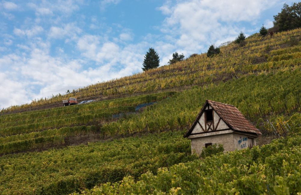 landing-mambourg (2)
		                    