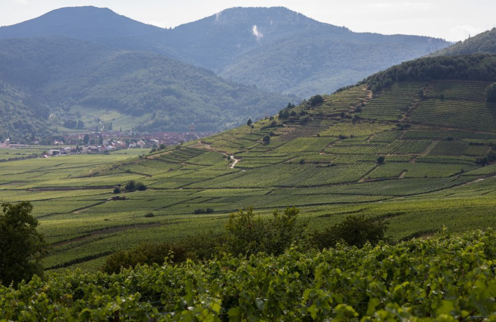 landing-schlossberg (2)
		                    