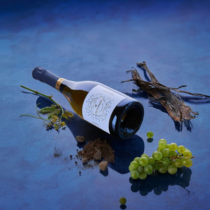 700x700 - 2025-04-22T171403.033