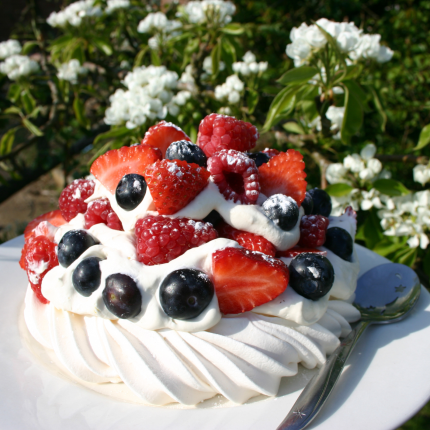 pavlova
                